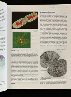 Jawetz, Melnick &amp; Adelberg&#39;s Medical Microbiology (28th Edition)