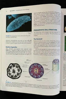 Jawetz, Melnick &amp; Adelberg&#39;s Medical Microbiology (28th Edition)