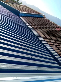 Roofing, Waterproofing and  Painting