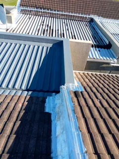 Waterproofing and Roofing