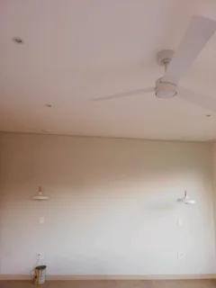 Very affordable painter