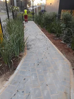 Brick paving and tar surfacing