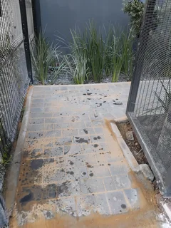 Brick paving and tar surfacing