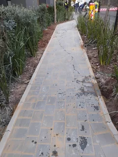 Brick paving and tar surfacing
