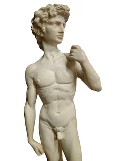 Michelangelo&#39;s &#34;David&#34;