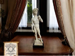 Michelangelo&#39;s &#34;David&#34;