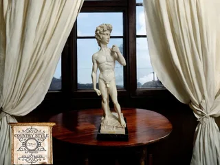 Michelangelo&#39;s &#34;David&#34;