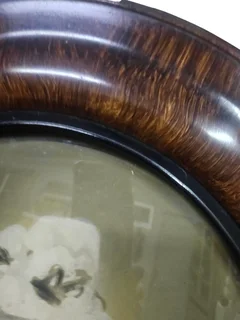 Antique Victorian Oval Portrait with Convex Glass