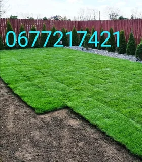 Buffalo Grass installation