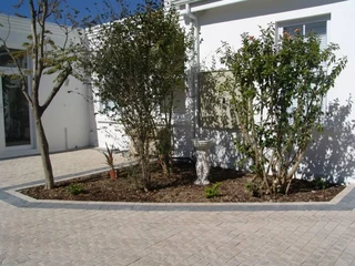 100x100 Cobblestone supplier