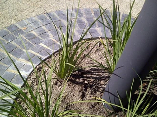 100x100 Cobblestone supplier