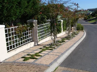 Cobbles Supplier 100x100