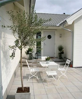 400x400 Paving Stone