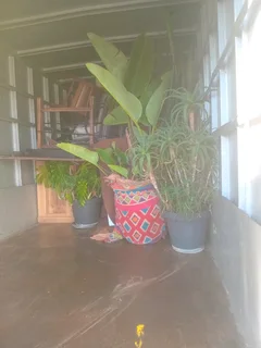 Bakkies and trucks with drivers for hire,we cover all areas