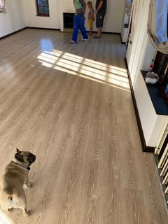 Vinly and laminate installation