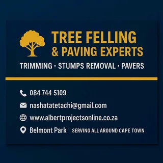 Tree felling experts