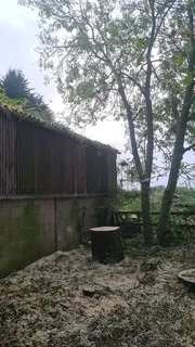 Tree felling projects