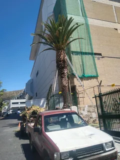 Somerset tree Feller's