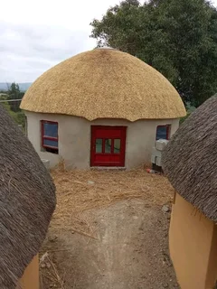 Thatch Repairs