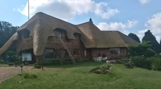 Thatch roofs repairs