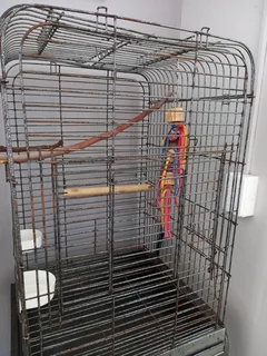 Large bird cage R1500