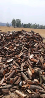 Wood for fireplaces and bomafire