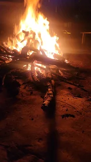 Dry Firewood for pizzaovens and fireplaces.