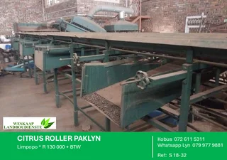 Citrus Roller Paklyn