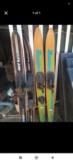 Water skis