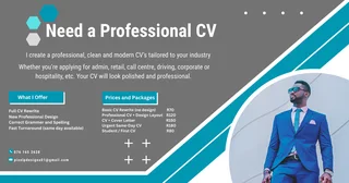 Need a Professional CV
