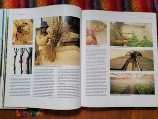 2nd Hand Book: South African Wine by Dave Hughes, Phyllis Hands &amp; John Kench