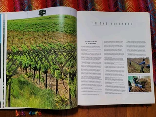 2nd Hand Book: South African Wine by Dave Hughes, Phyllis Hands &amp; John Kench