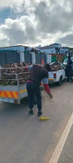 Rubble removal and waste removal