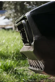 1971 Mustang Price REDUCED