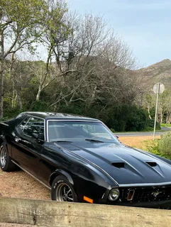 1971 Mustang Price REDUCED