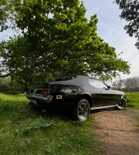 1971 Mustang Price REDUCED