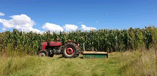 Massey Ferguson 240Loop nog baie mooi. Nuwe voorbande en alles werk op die trekker.Het papiere