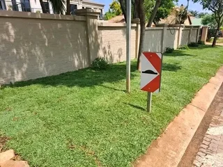 We plant lawn e,g evergreen lawn,Kikuyu grass,Lm