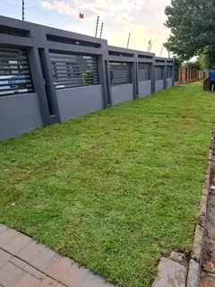 We plant lawn e,g evergreen lawn,Kikuyu grass,Lm