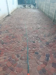 Cobble half brick Paving