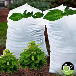 Plant and Seedling Grow Bags