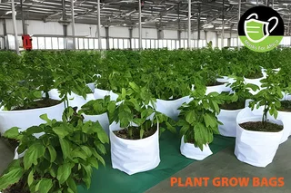 Perfectly Practical Polypropylene Plant Grow Bags