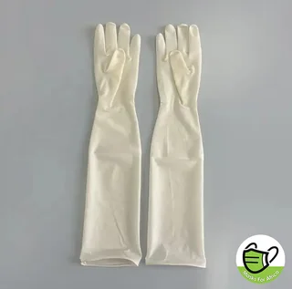 - Latex Elbow Length Examination Gloves -