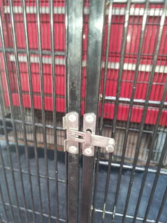 Solid Rat or Bird cage