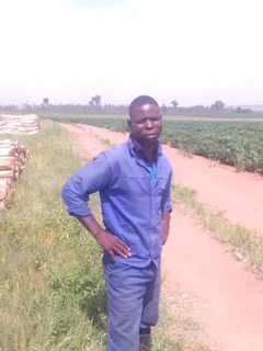 Malawian Gardener Available