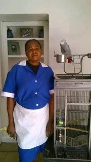 Malawian Domestic Worker Seeks Work