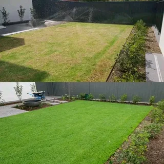 Insant lawn kikuyu ,Berea,Buffalo and Evergreen grass