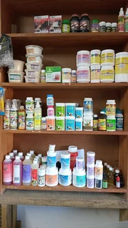 Raceax plus garlic for birds