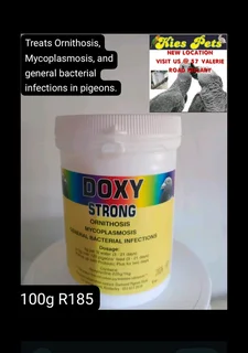 Doxy strong for pegions