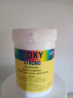 Doxy strong for pegions